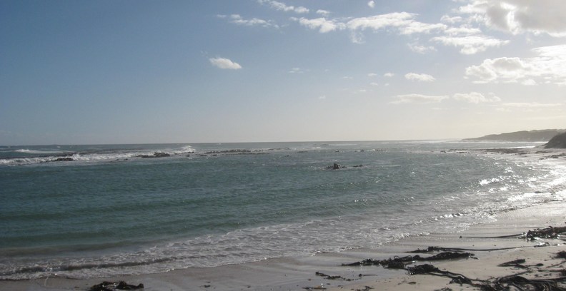 Picture of the beach and ocean